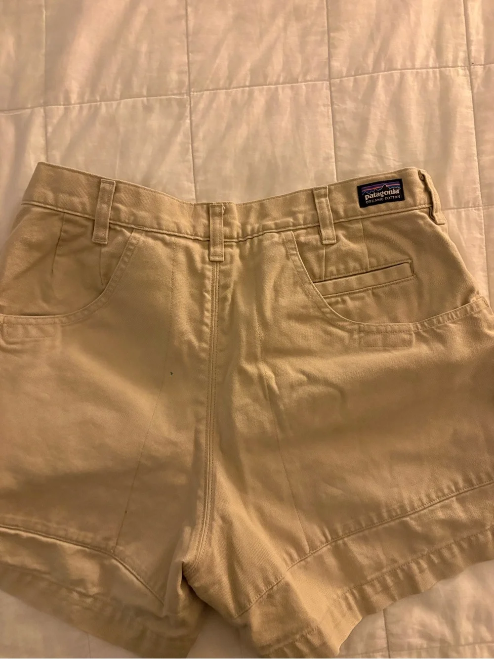 Patagonia Men's Stand Up Short